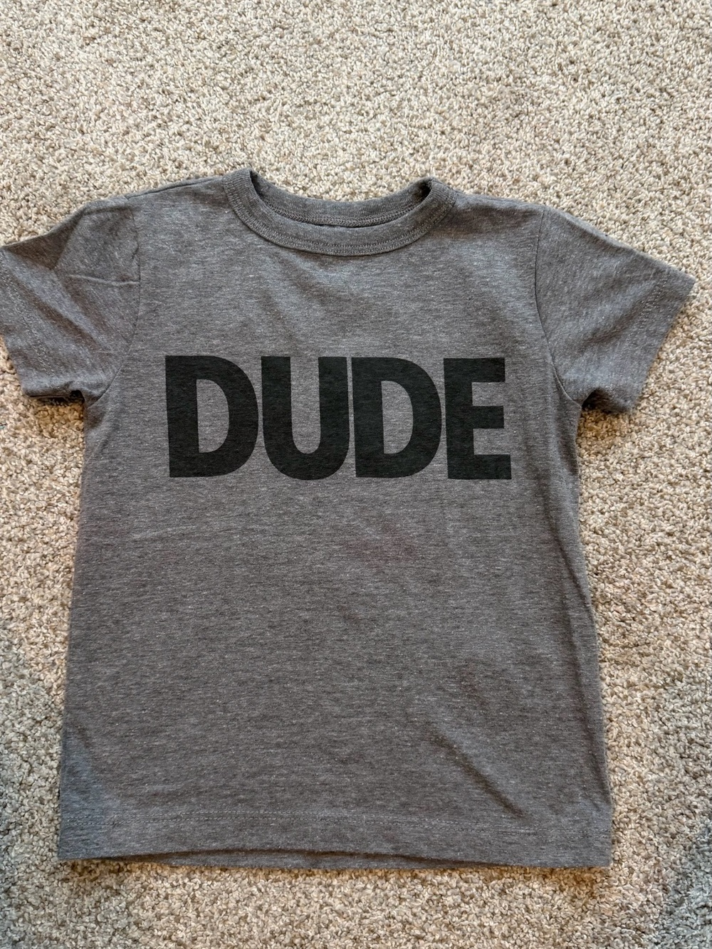 Dude Graphic Tee - Gray crew cuts 2t like new